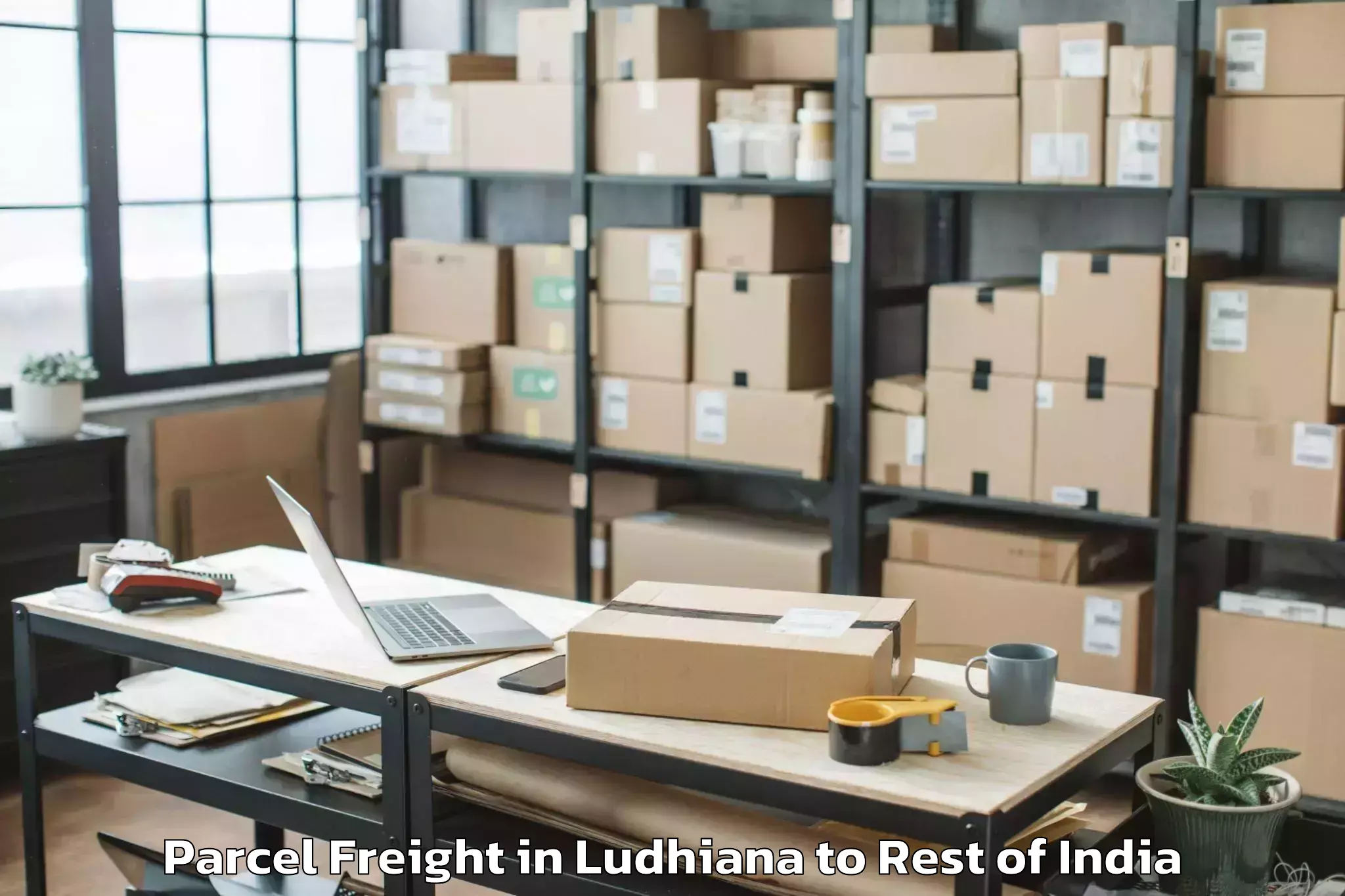 Leading Ludhiana to Badgam Parcel Freight Provider